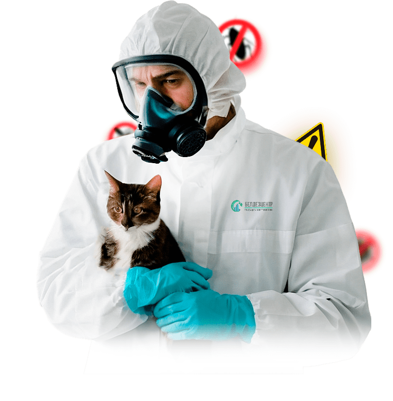 Дезинсектор белдезцентр