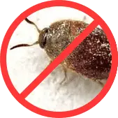 Кожееды БелДезЦентр