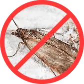 Моль БелДезЦентр