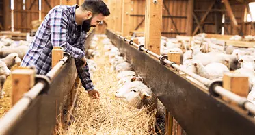 Услуги дезинсекции в Республике Беларусь