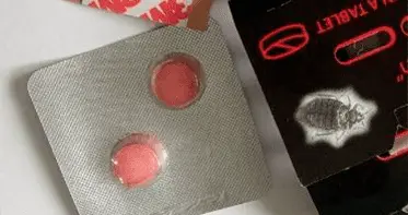 Услуги дезинсекции в Республике Беларусь