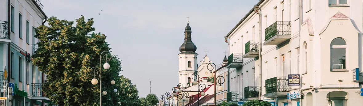 Услуги дезинсекции в Республике Беларусь